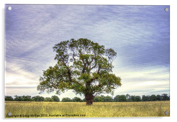 Old Oak tree Acrylic by Doug McRae