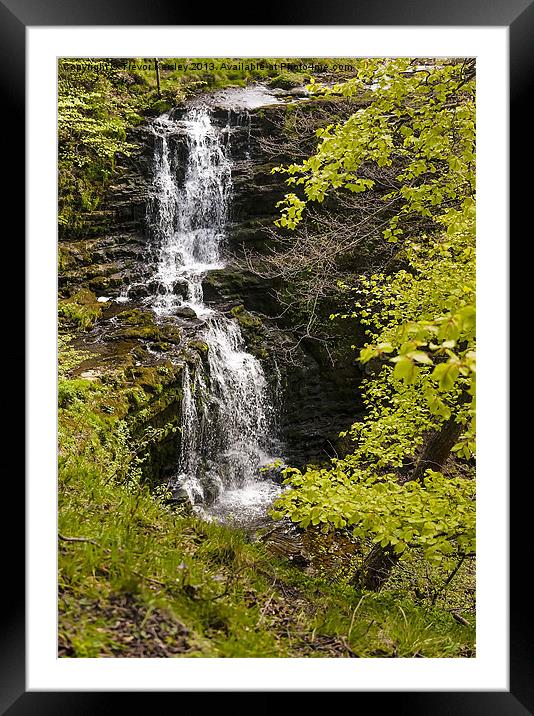 Scaleber Force Yorkshire Dales Framed Mounted Print by Trevor Kersley RIP