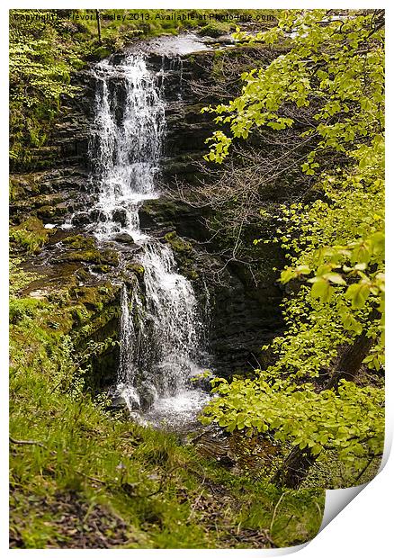 Scaleber Force Yorkshire Dales Print by Trevor Kersley RIP