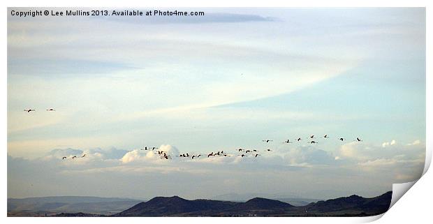 Flamingos in the evening sky Print by Lee Mullins