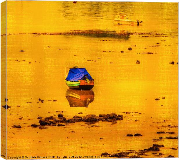Boats at Low Tide in Fairlie Canvas Print by Tylie Duff Photo Art