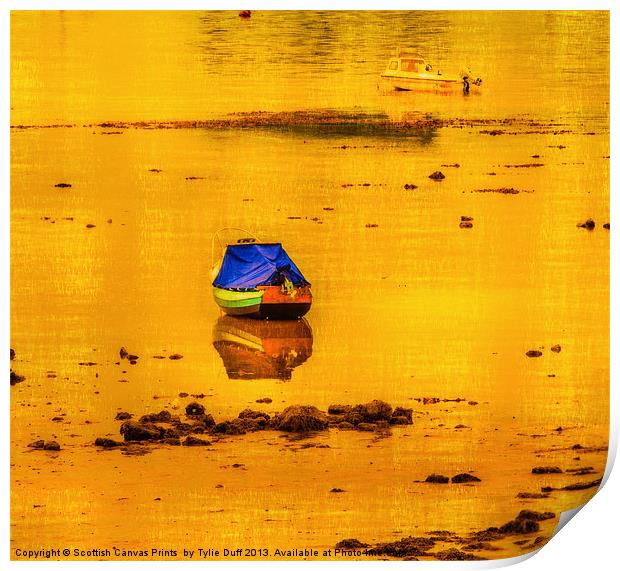 Boats at Low Tide in Fairlie Print by Tylie Duff Photo Art