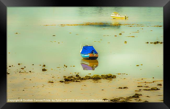 Boats at Low Tide in Fairlie (2) Framed Print by Tylie Duff Photo Art
