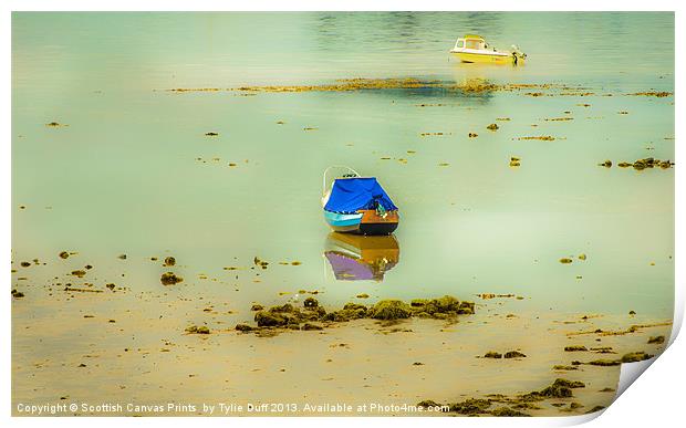 Boats at Low Tide in Fairlie (2) Print by Tylie Duff Photo Art