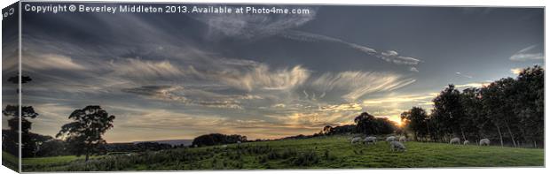 Evening at Farnley Canvas Print by Beverley Middleton