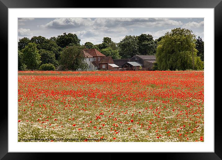 Field of Poppies Framed Mounted Print by Mark Harrop