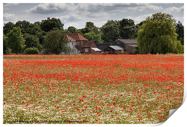 Field of Poppies Print by Mark Harrop