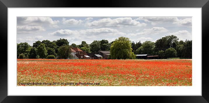 Poppy field Framed Mounted Print by Mark Harrop