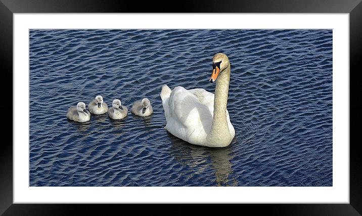 a young family Framed Mounted Print by Donna Collett