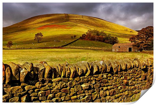 Old Barn Print by Jan Venter