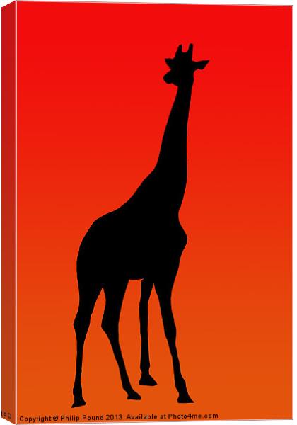 African Giraffe at Sunset Canvas Print by Philip Pound