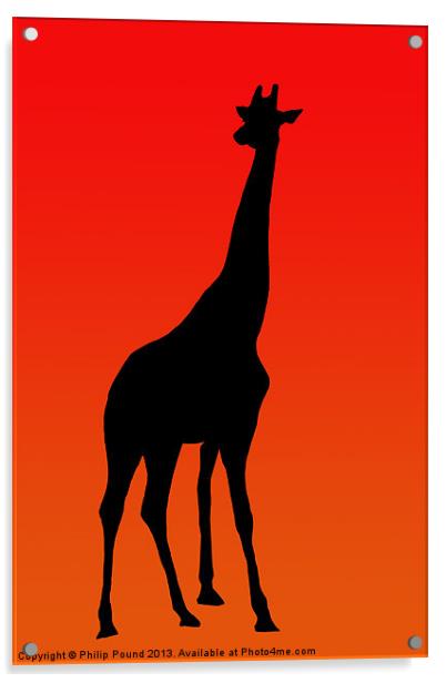 African Giraffe at Sunset Acrylic by Philip Pound