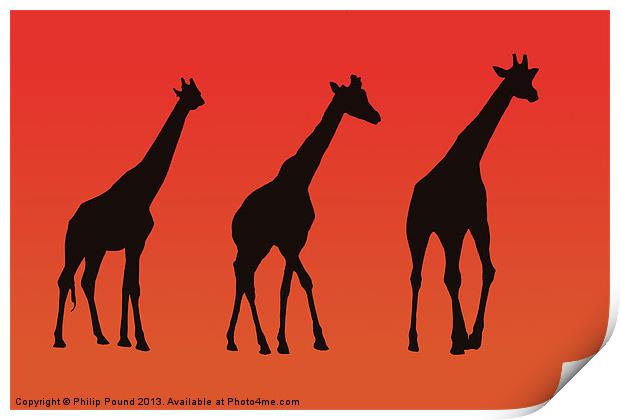 Giraffes Silhoutte at Sunrise Print by Philip Pound