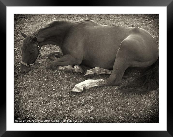 resting horse 2 Framed Mounted Print by Emma Ward