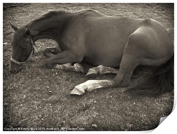 resting horse 2 Print by Emma Ward
