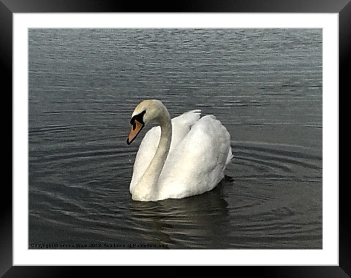swan lake Framed Mounted Print by Emma Ward
