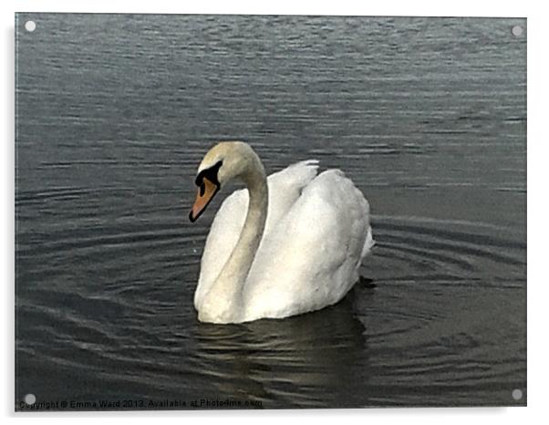 swan lake Acrylic by Emma Ward
