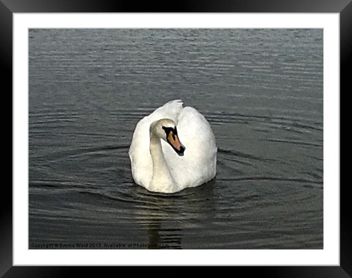 swan lake 2 Framed Mounted Print by Emma Ward