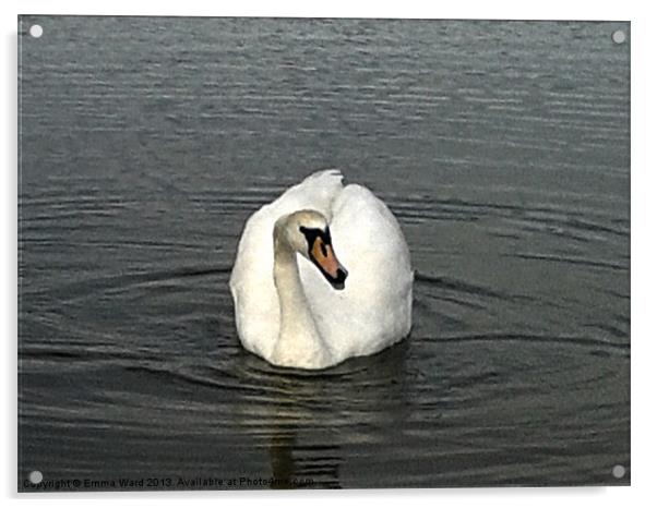 swan lake 2 Acrylic by Emma Ward