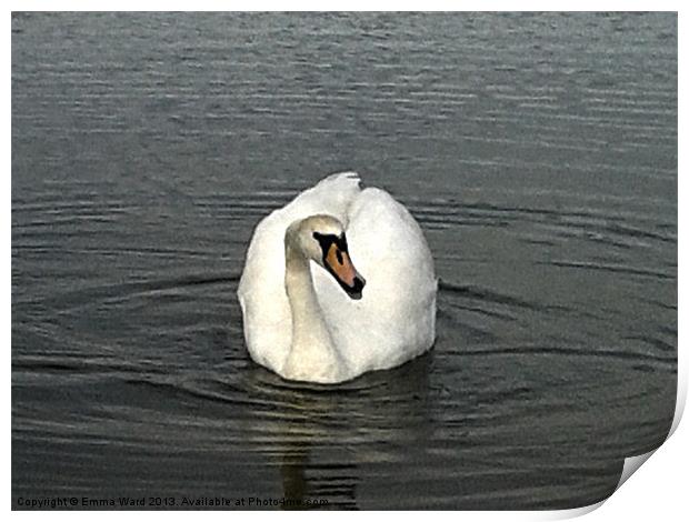 swan lake 2 Print by Emma Ward