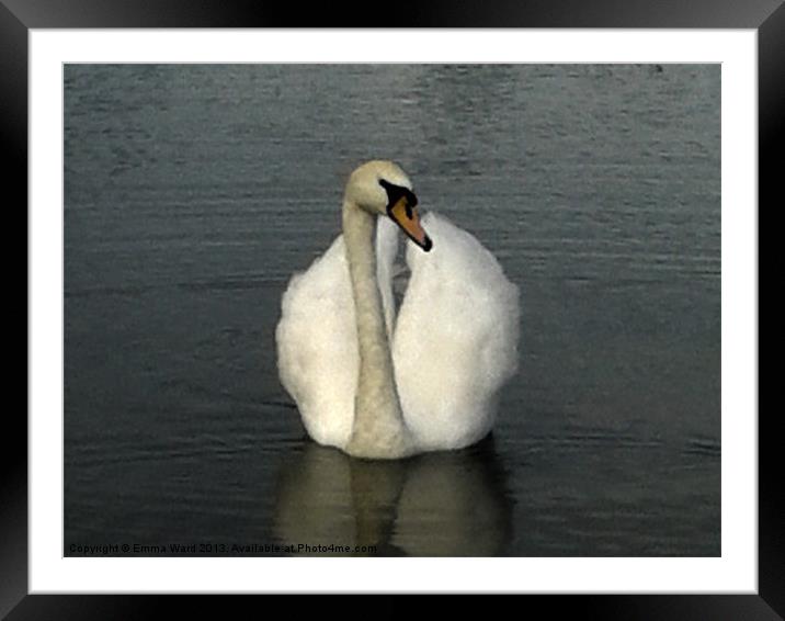 swan lake 3 Framed Mounted Print by Emma Ward