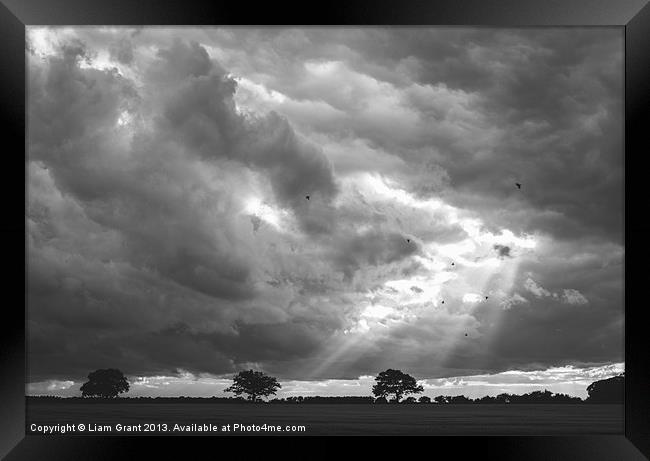 Birds flying in front of a dramatic sky. Framed Print by Liam Grant