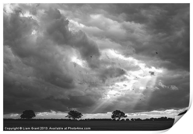 Birds flying in front of a dramatic sky. Print by Liam Grant