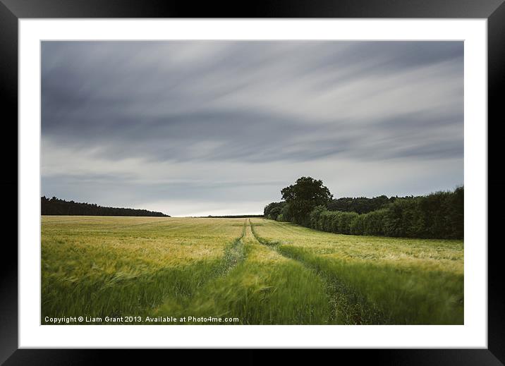 Evening clouds sweep over a wind blown barley fiel Framed Mounted Print by Liam Grant