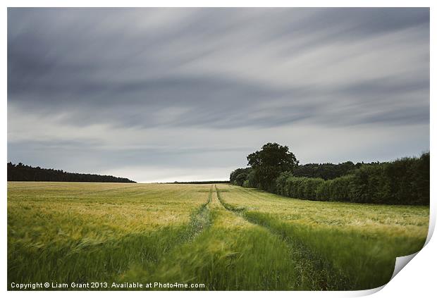 Evening clouds sweep over a wind blown barley fiel Print by Liam Grant