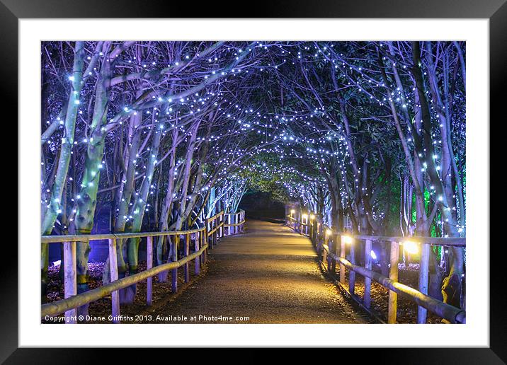 Starry Walkway at night Framed Mounted Print by Diane Griffiths