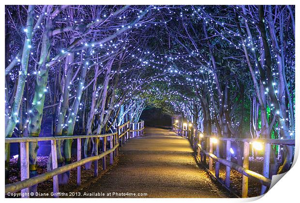 Starry Walkway at night Print by Diane Griffiths