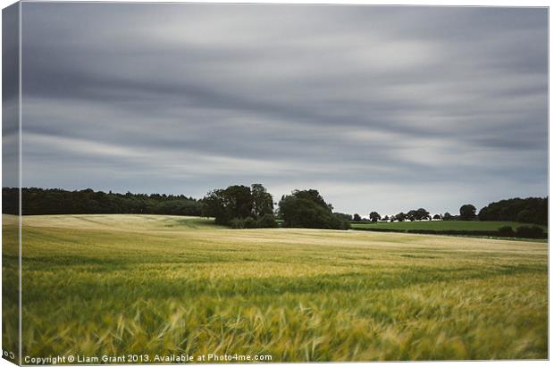 Evening clouds sweep over a wind blown barley fiel Canvas Print by Liam Grant