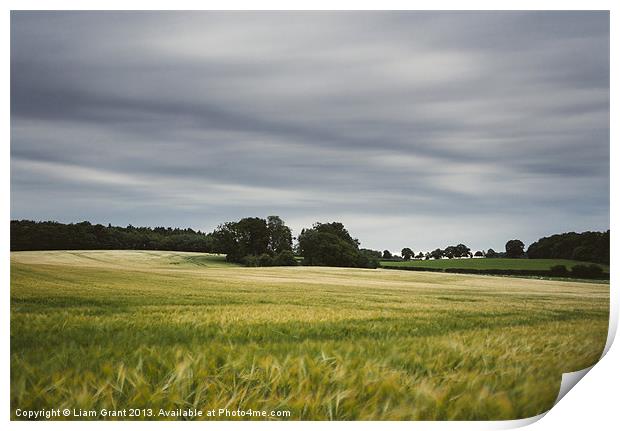 Evening clouds sweep over a wind blown barley fiel Print by Liam Grant