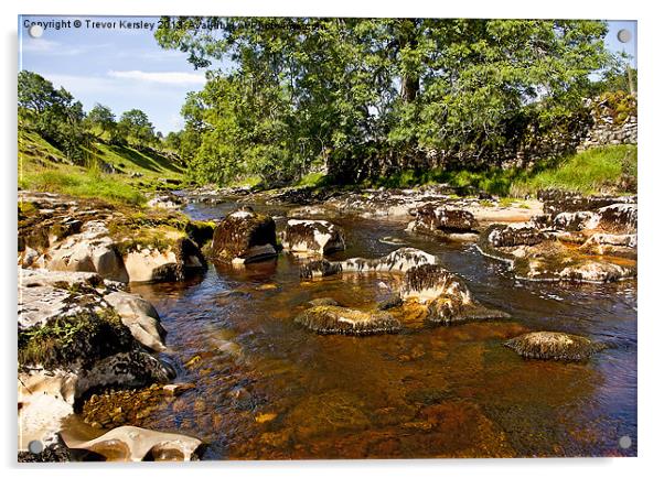 River Wharfe in Langsthrothdale Acrylic by Trevor Kersley RIP