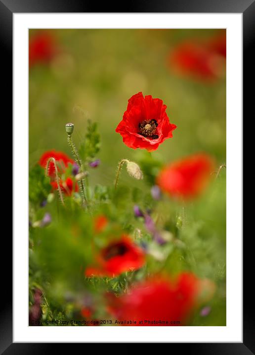 Selective focus in poppy field Framed Mounted Print by Izzy Standbridge
