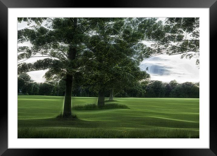 A Dream of Green Framed Mounted Print by richard downes