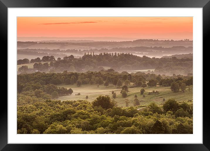 Ashdown Sunrise Framed Mounted Print by sam moore