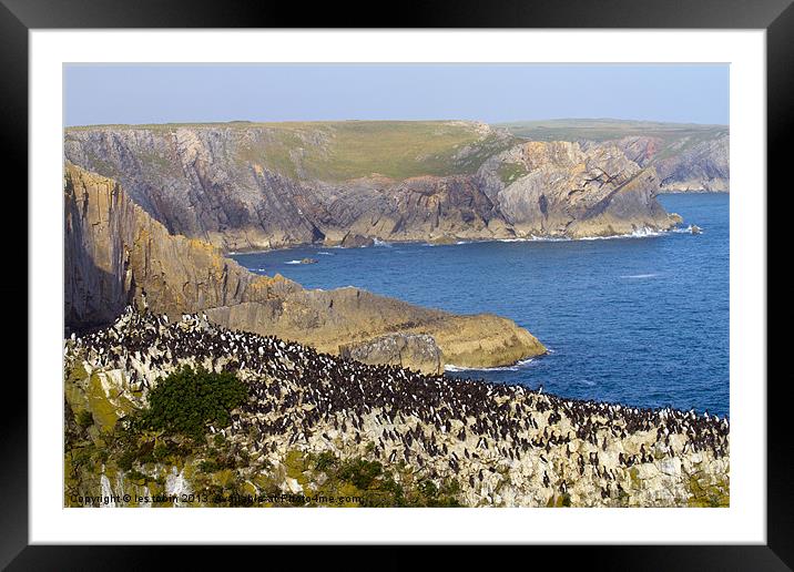 Stackpole Coast Framed Mounted Print by les tobin