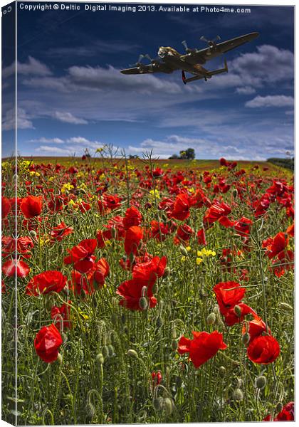 Poppies Canvas Print by K7 Photography