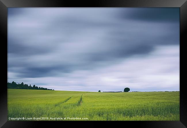 Clouds moving above field of barley. Framed Print by Liam Grant