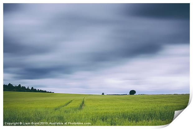 Clouds moving above field of barley. Print by Liam Grant