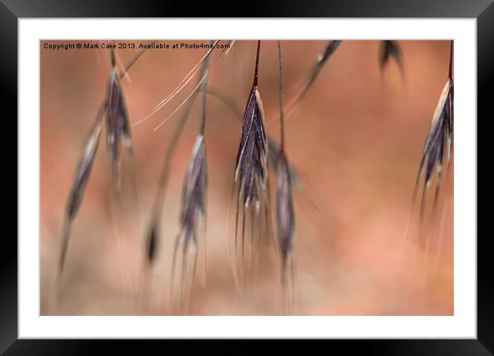 Purple grass Framed Mounted Print by Mark Cake