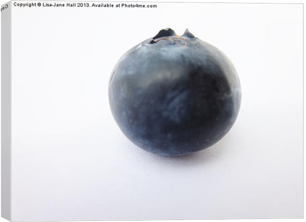 The Lonely Blueberry Canvas Print by Lee Hall