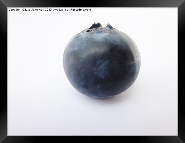 The Lonely Blueberry Framed Print by Lee Hall