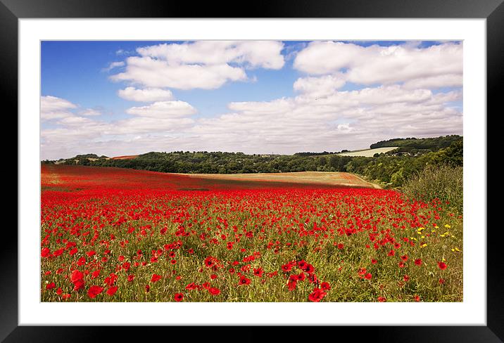 Summer in a kent field Framed Mounted Print by Dawn Cox