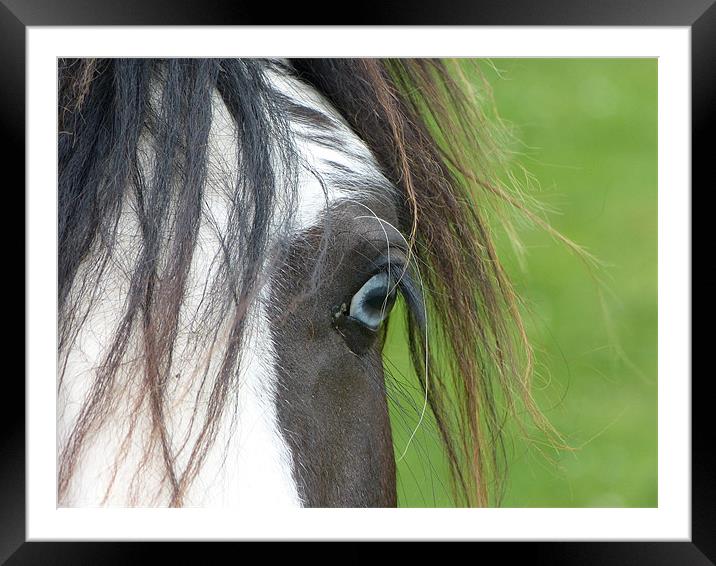 Blue Eyed Horse Framed Mounted Print by Ursula Keene