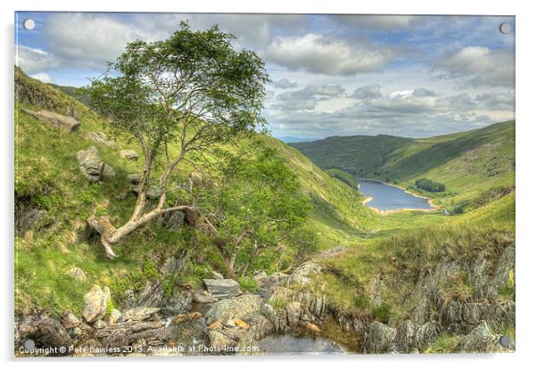 Haweswater from Small Water Beck Acrylic by Pete Lawless