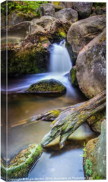 Burbage Brook Reworked Canvas Print by Angie Morton