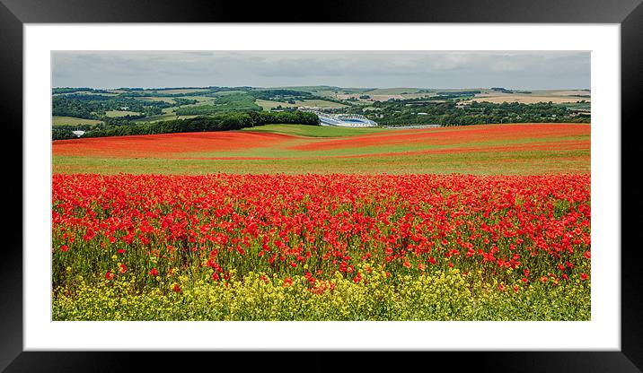 Poppy Field in Sussex Framed Mounted Print by sam moore