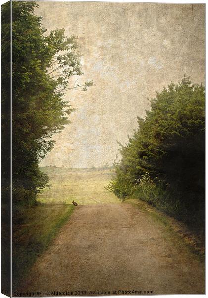 A Walk Up The Lane Canvas Print by LIZ Alderdice